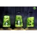 Terrarium Quà Tặng Trang Trí 2023