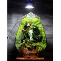 Terrarium Quà Tặng Trang Trí 2023