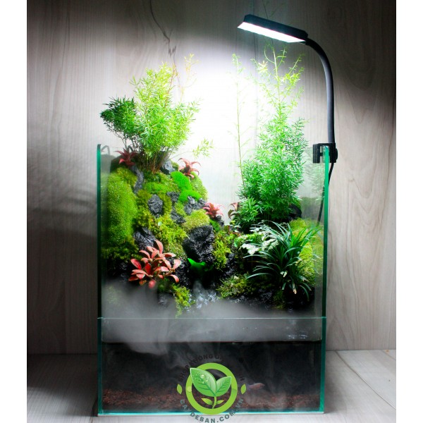 Paludarium - Bán cạn Đồi Trúc 30.25.35