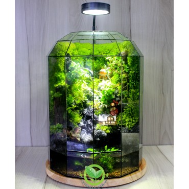 Paludarium Family Home 2