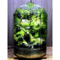 Paludarium Family Home