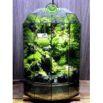 Paludarium Family Home