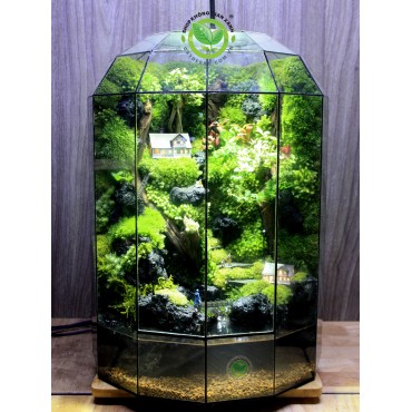 Paludarium Family Home