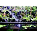 Paludarium - Home in Forest 108