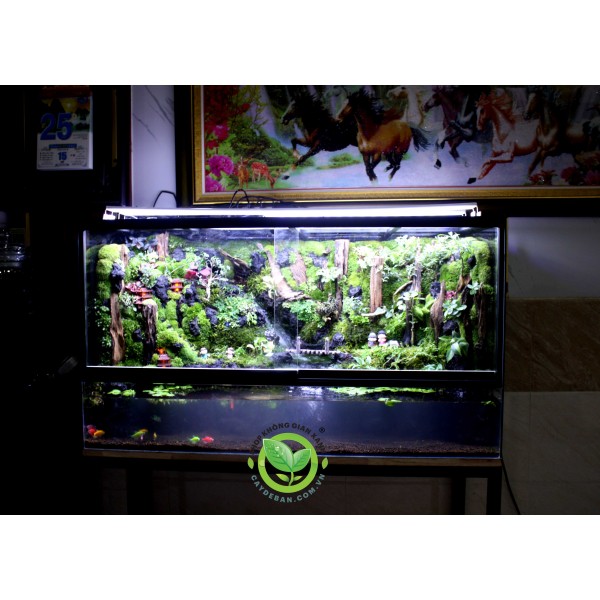 Paludarium - Home in Forest 108
