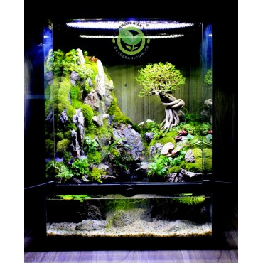 Paludarium - Bán cạn Sơn Thuỷ 45.45.60