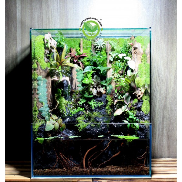 Paludarium/ Bán cạn Thác đôi