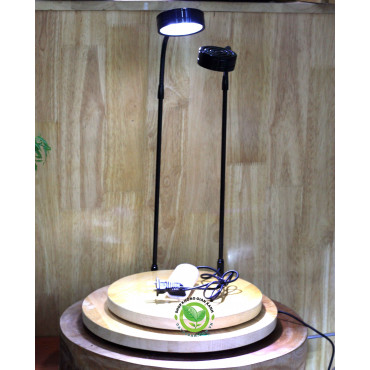 Đèn Led đế gỗ cho terrarium