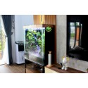 Rainforest Paludarium - Mưa Qua Núi Rừng