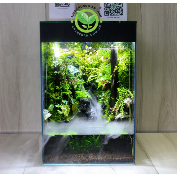 Rainforet Paludarium- Rừng mưa 30.45