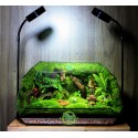 Terrarium Đa Giác T10.3