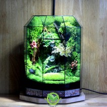 Terrarium Đa Giác 17.3