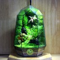 Terrarium Đa Giác T22.1