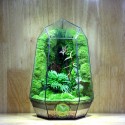 Terrarium Đa Giác T22.1