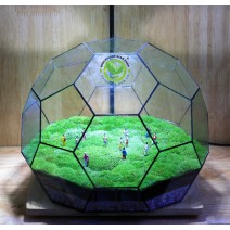 Terrarium Đa Giác T23 - Terrarium Ball