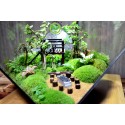 Terrarium Đa Giác T24.1 Home garden