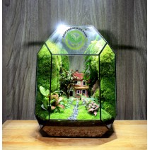 Terrarium Đa Giác T26