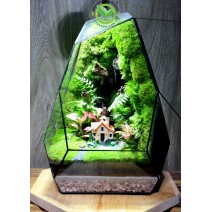 Terrarium Đa Giác T29 - Home Garden