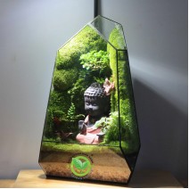 Terrarium Đa Giác T30