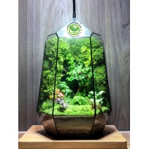 Terrarium Đa Giác T37.1