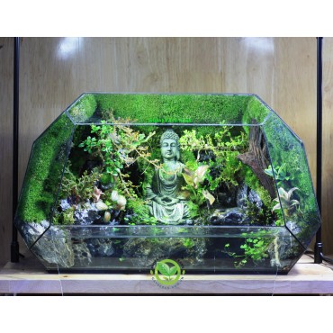 Paludarium Đa Giác P10.1 - Tịnh Tâm