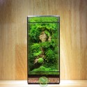 Terrarium Đa Giác T18