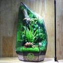 Terrarium Đa Giác T09