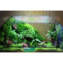 Terrarium Đa Giác T10.1 - Sông Quê