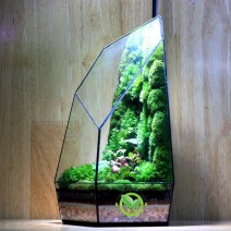 Terrarium Đa Giác T27