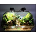 Paludarium Đa Giác Vulcan 40cm