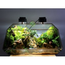 Paludarium Đa Giác Vulcan 40cm