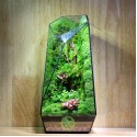 Terrarium Đa Giác T13