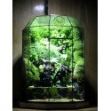 Paludarium Đa Giác 17.1