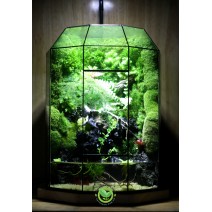 Paludarium Đa Giác 17.1