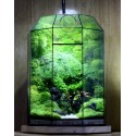 Terrarium Đa Giác T17.2