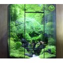 Terrarium Đa Giác T17.2