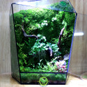 Terrarium Đa Giác T04.1