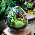 Terrarium Quả Trứng Lớn