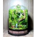 Terrarium Chí tâm đảnh lễ