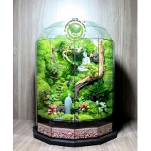 Terrarium Chí tâm đảnh lễ