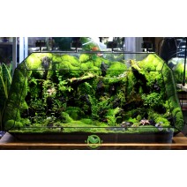 Terrarium Đa Giác Vulcan 861