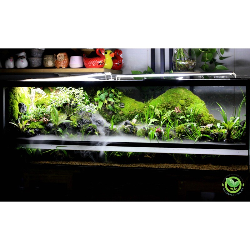 Paludarium - Suối nhỏ bên sườn đồi