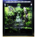 Paludarium Tịnh Tâm 40.30.45