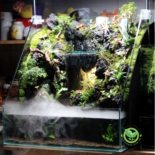 Paludarium - Hồ bán cạn thác nước 60