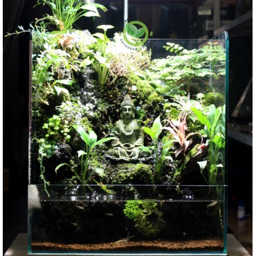 Paludarium Tịnh Tâm