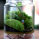 Terrarium kín 17-9