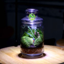 Terrarium kín 17-9