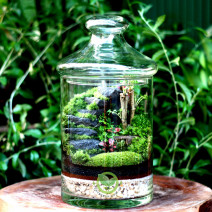 Terrarium Bậc Thang