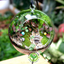 Terrarium Quả Cầu Treo 15