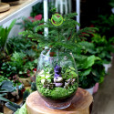 Terrarium Tĩnh Tâm